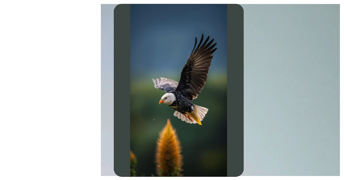 Soaring High: 13 Birds Wallpaper Ideas to Transform Your Space