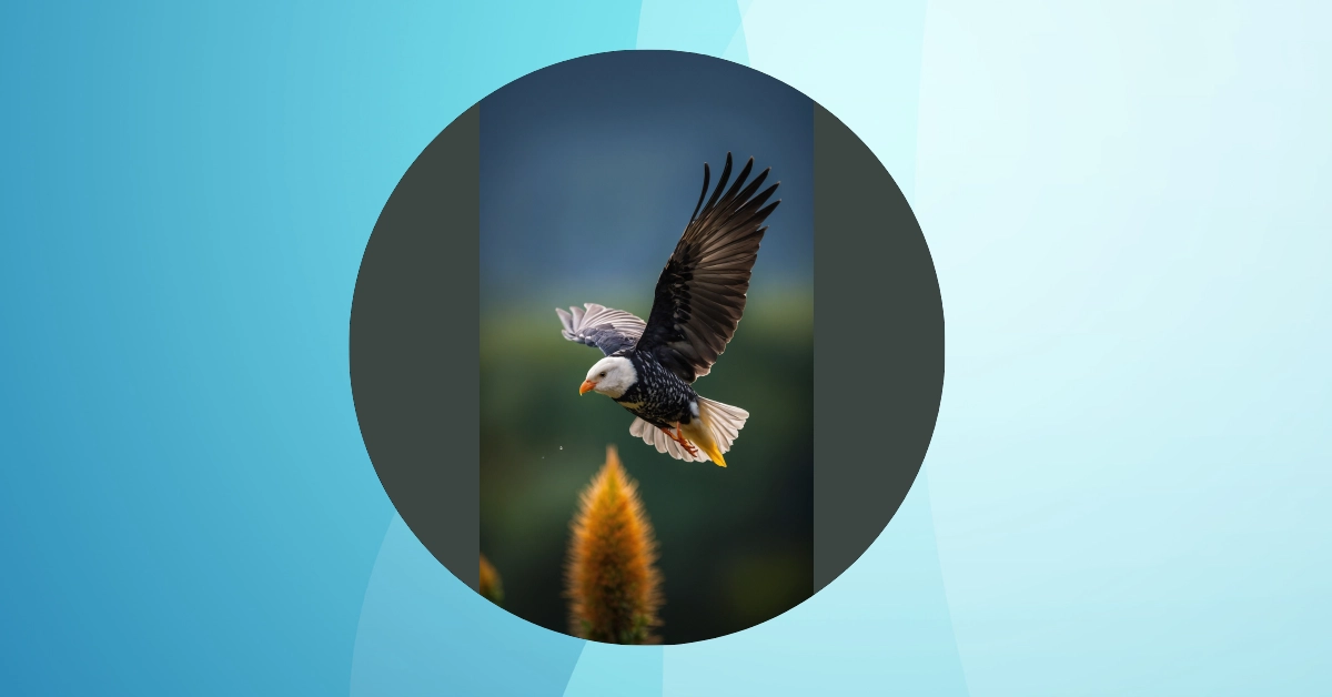 Winged Wonders: 13 Birds Wallpaper Ideas for Every Home Decor Lover