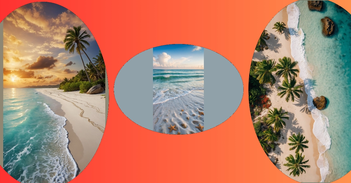 Salty Surfaces: 07 Beach-Themed Wallpapers to Make You Smile**  
**
